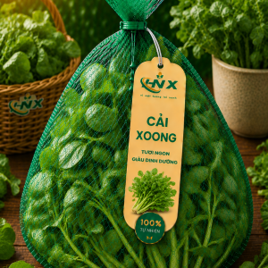 CuQua CaiXoong
